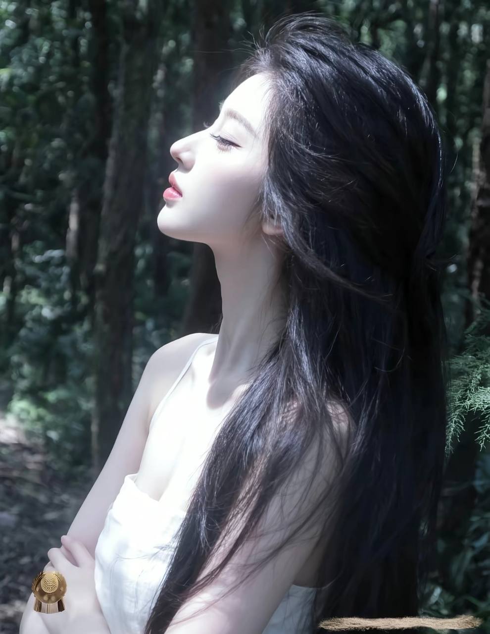 晚风胶片